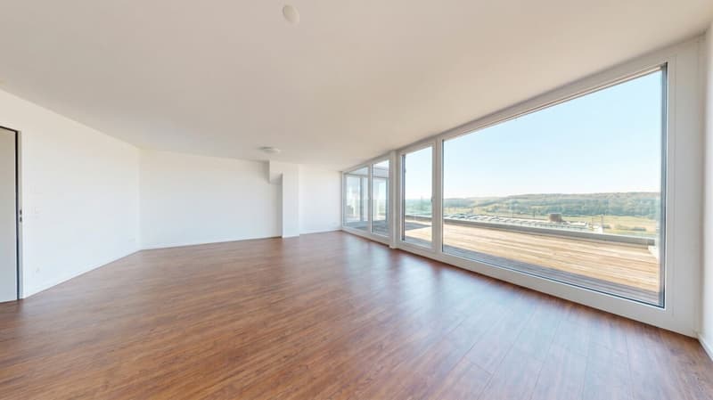 On Top of Wettswil - 252 m² Panorama-Residenz (11)