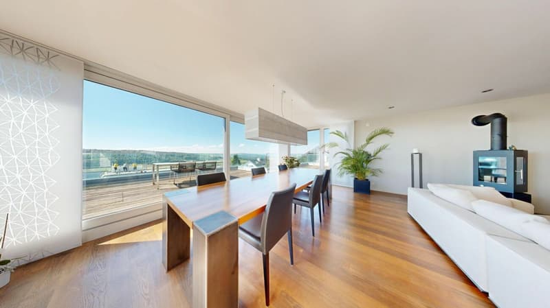 On Top of Wettswil - 252 m² Panorama-Residenz (7)