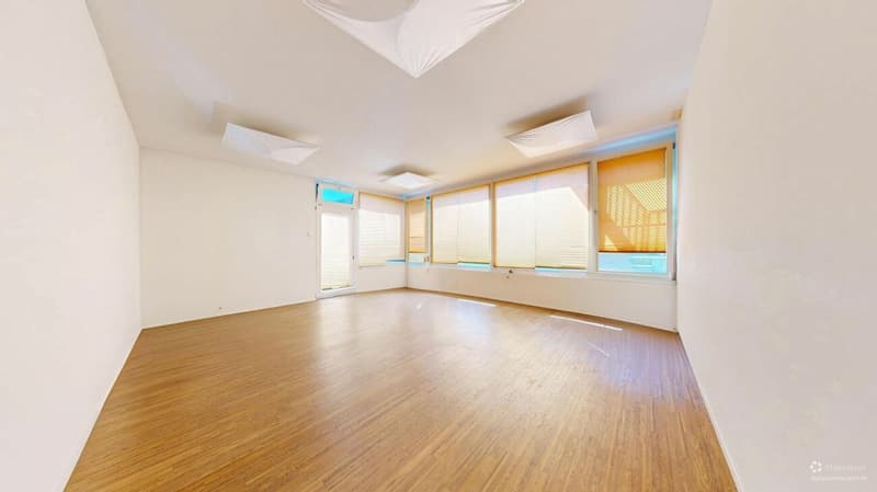 On Top of Wettswil - 252 m² Panorama-Residenz (20)