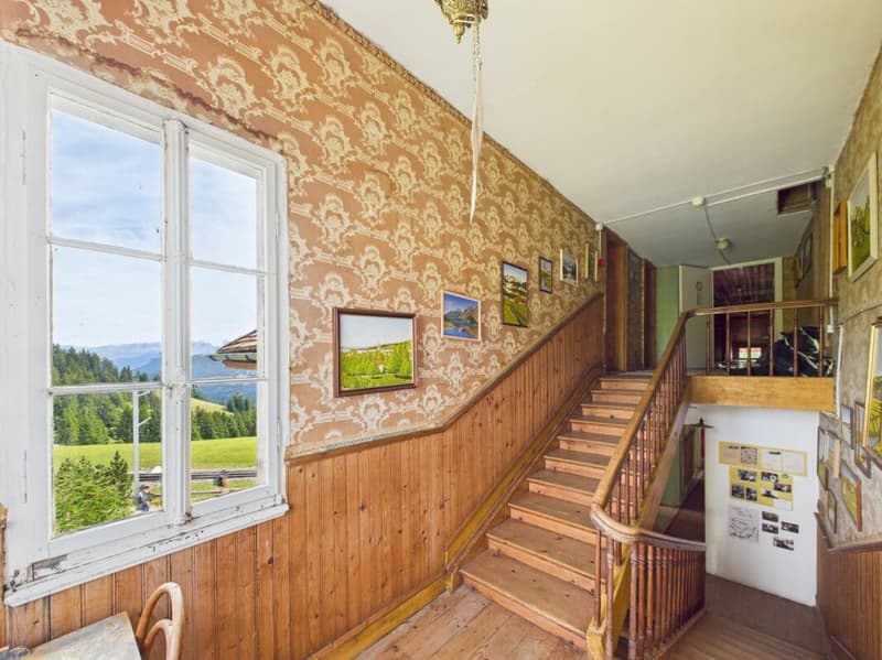 A Swiss Trophy Asset - the Last Free Piece of Mount Rigi (28)