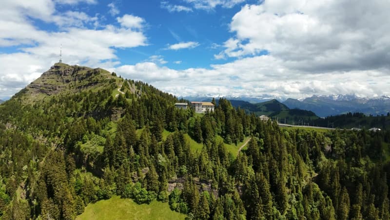 A Swiss Trophy Asset - the Last Free Piece of Mount Rigi (4)