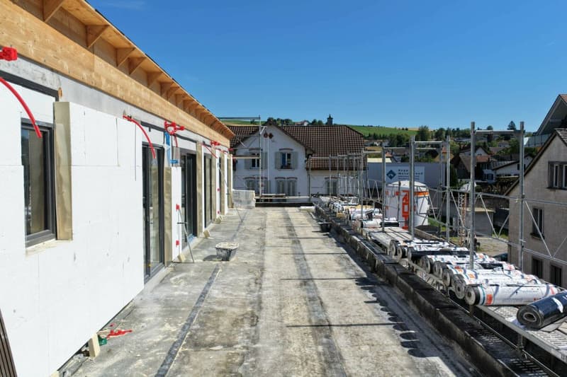Erstbezug im November 2026: 4.5-Zi-Penthouse mit 79 m² Sonnenterrasse (6)