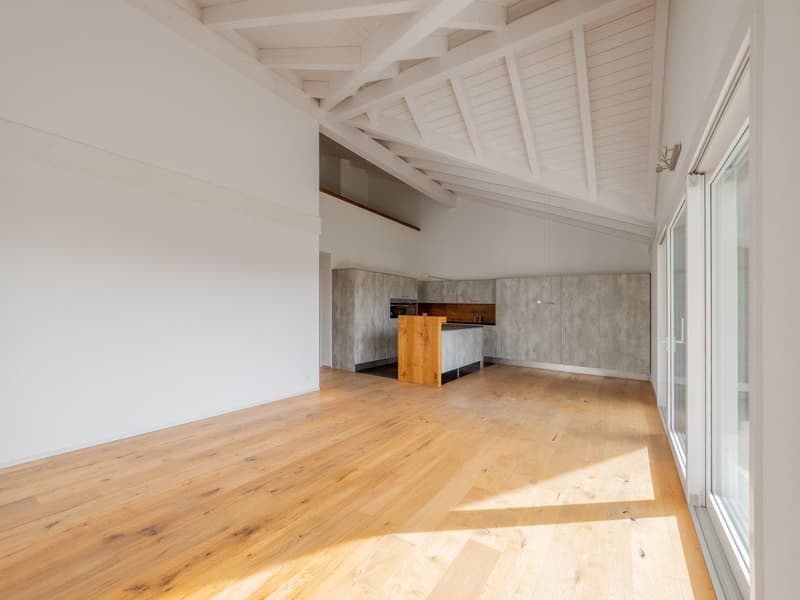 Attique 5.5 pièces avec grande terrasse et dégagement – 198 m² habitables (3)