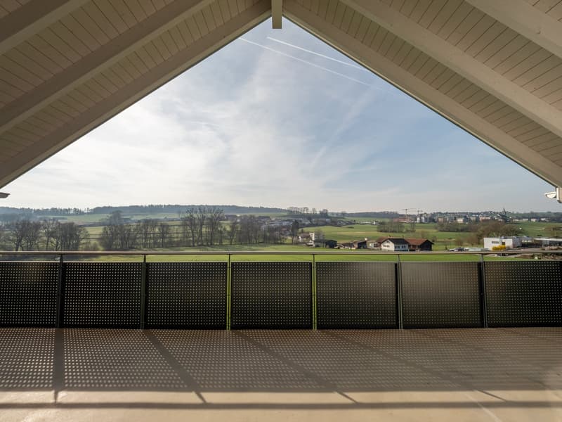 Attique 5.5 pièces avec grande terrasse et dégagement – 198 m² habitables (14)
