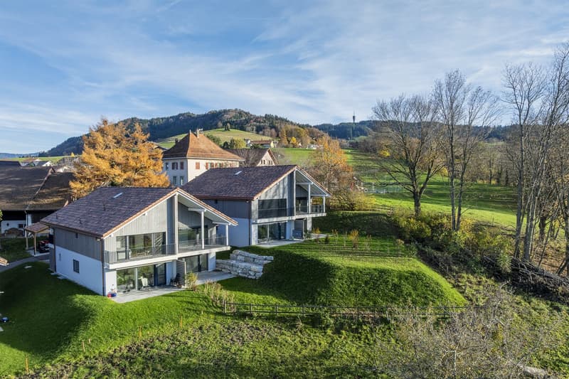 Dernière opportunité - Villa 4.5 pièces avec finitions au choix – Villarlod (Gibloux, FR) (1)