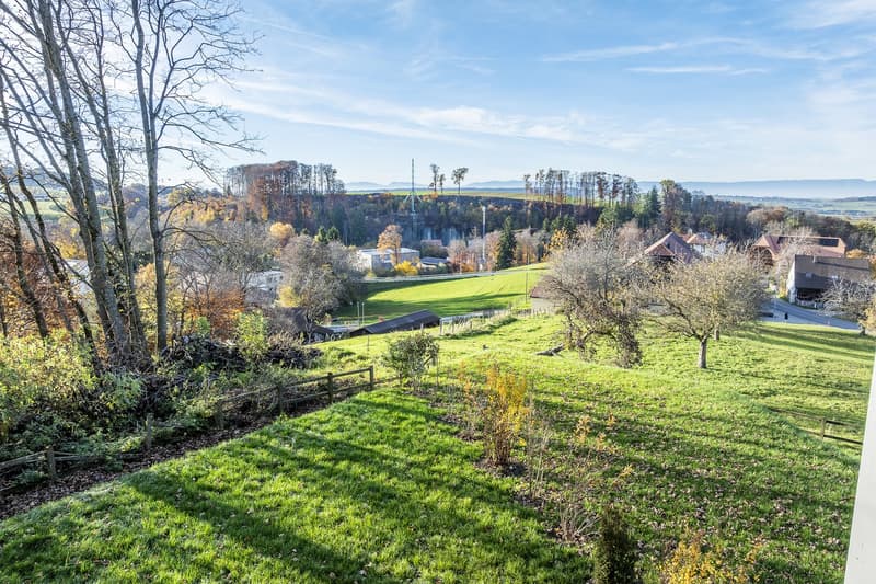 Dernière opportunité - Villa 4.5 pièces avec finitions au choix – Villarlod (Gibloux, FR) (13)