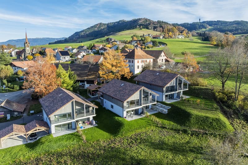 Dernière opportunité - Villa 4.5 pièces avec finitions au choix – Villarlod (Gibloux, FR) (2)