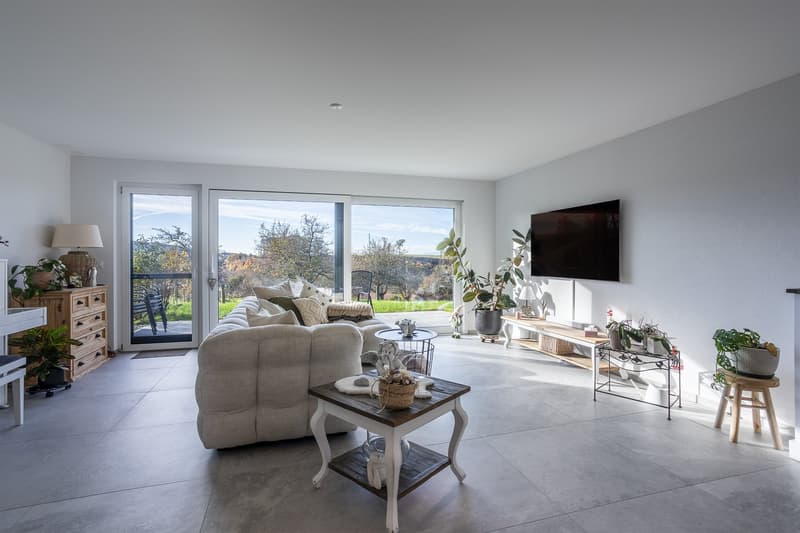 Dernière opportunité - Villa 4.5 pièces avec finitions au choix – Villarlod (Gibloux, FR) (5)