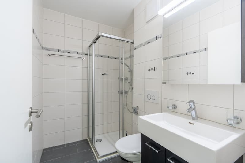 Appartement 5.5 pièces au dernier étage – calme, lumineux et idéalement situé à Givisiez (9)