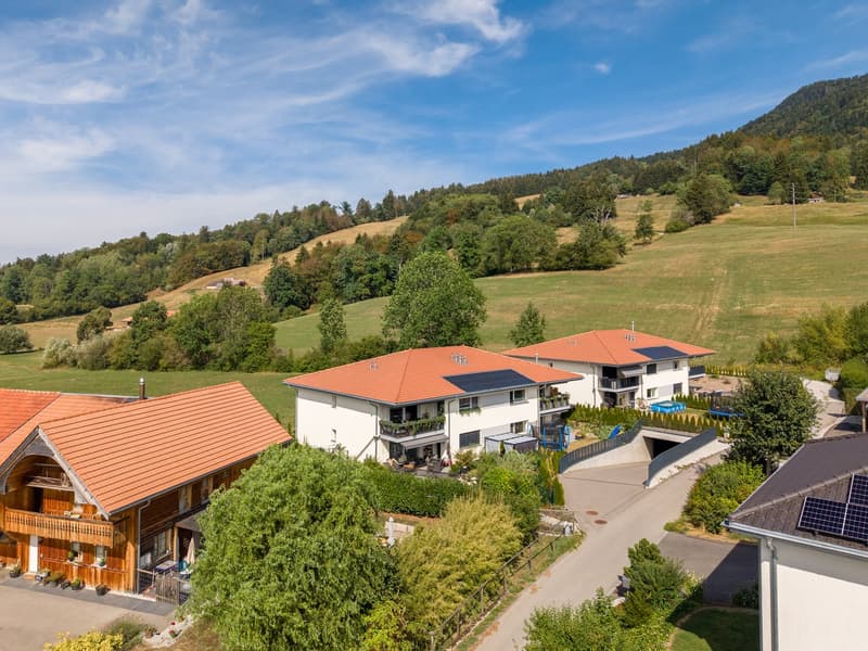 Appartement 4.5 pièces au dernier étage – calme et lumineux à Villarvolard (15)