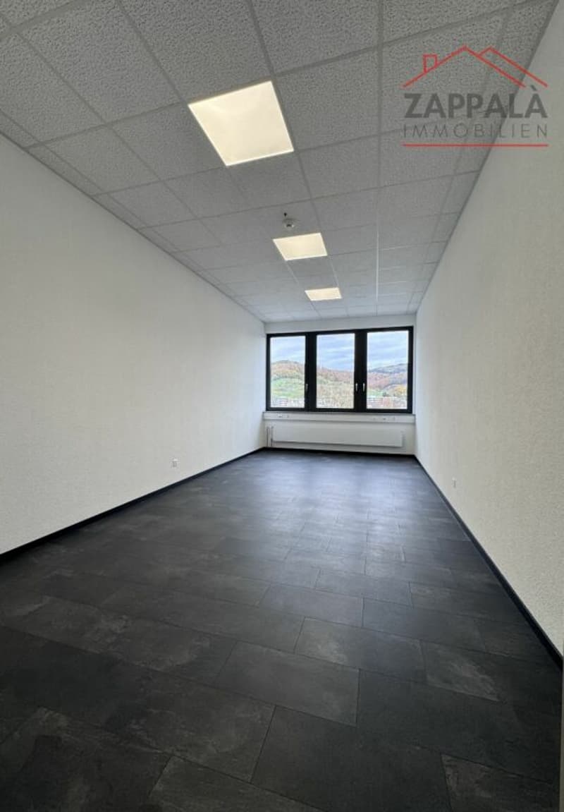 Business incontra il design - La tua nuova sede a Liestal (10)