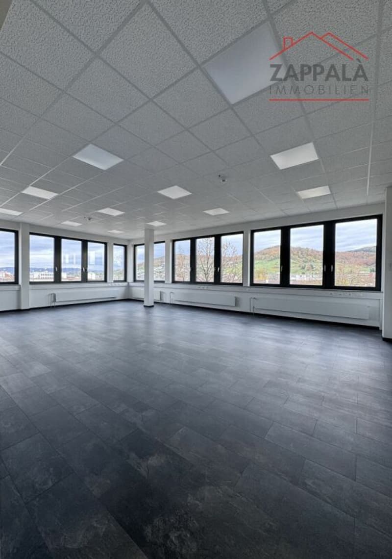 Business incontra il design - La tua nuova sede a Liestal (3)