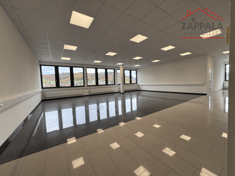 Business incontra il design - La tua nuova sede a Liestal (11)