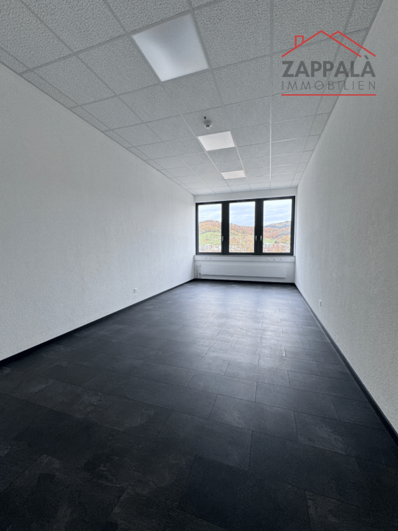 Business incontra il design - La tua nuova sede a Liestal (6)