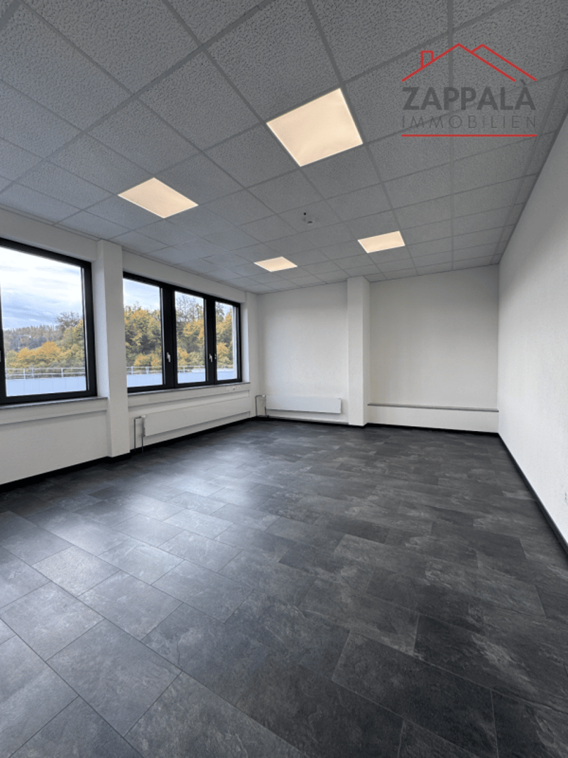 Business incontra il design - La tua nuova sede a Liestal (4)