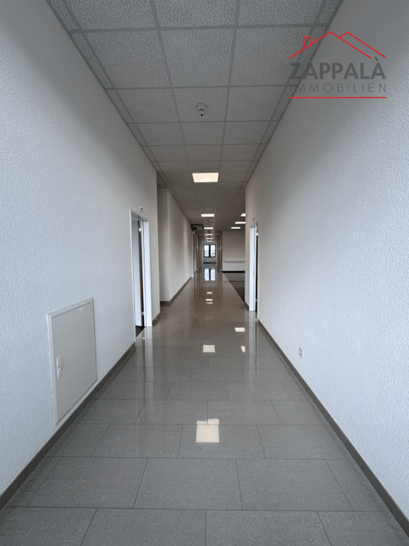 Business incontra il design - La tua nuova sede a Liestal (5)
