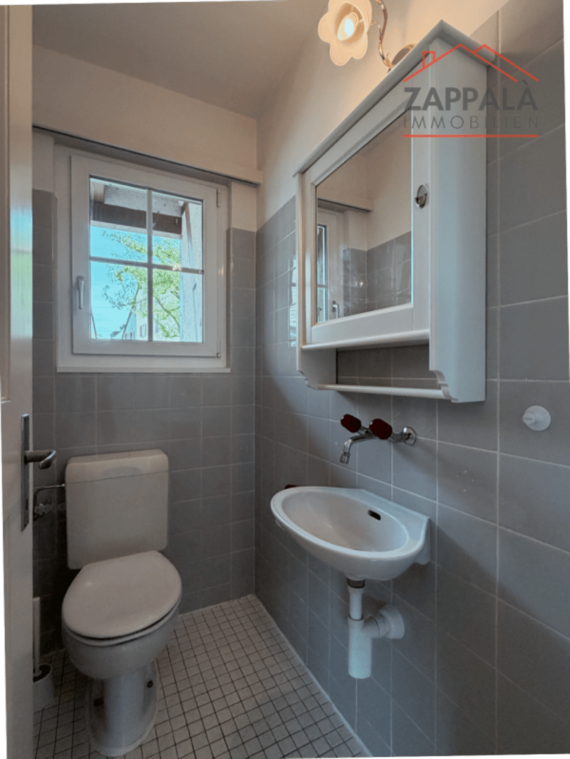 Elegante 4-Zimmer-Wohnung im Erdgeschoss In Schönenbuch (17)