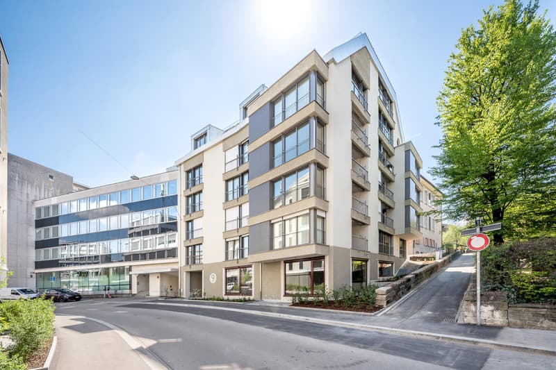 Ihre brandneue, moderne Wohnung im Herzen von Oerlikon (9)