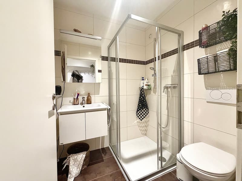 Modern bathroom with a shower enclosure, sink, mirror, and shelves with plants.