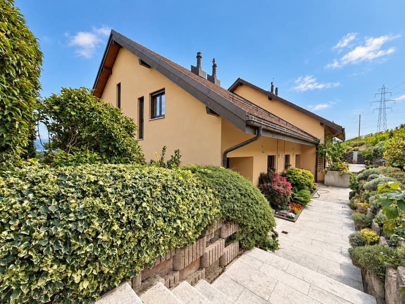 À Luins, Maison de 5.5 pièces entre vignes et vue sur le Léman (1)