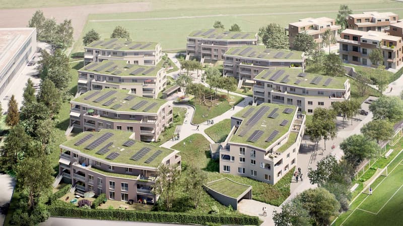 Neubauprojekt Schachenweid  - Zuhause zwischen Stadt und Natur (3)