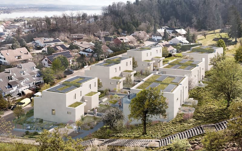 Nachhaltig. Modern. Zuhause. - Ihr neues Zuhause mit Garten (6)