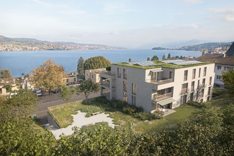 Neubauprojekt Fachstrasse 74 in Oberrieden (1)