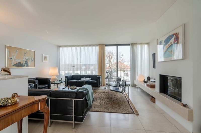 Appartement d'attique luxueux sur Bruderholz (3)