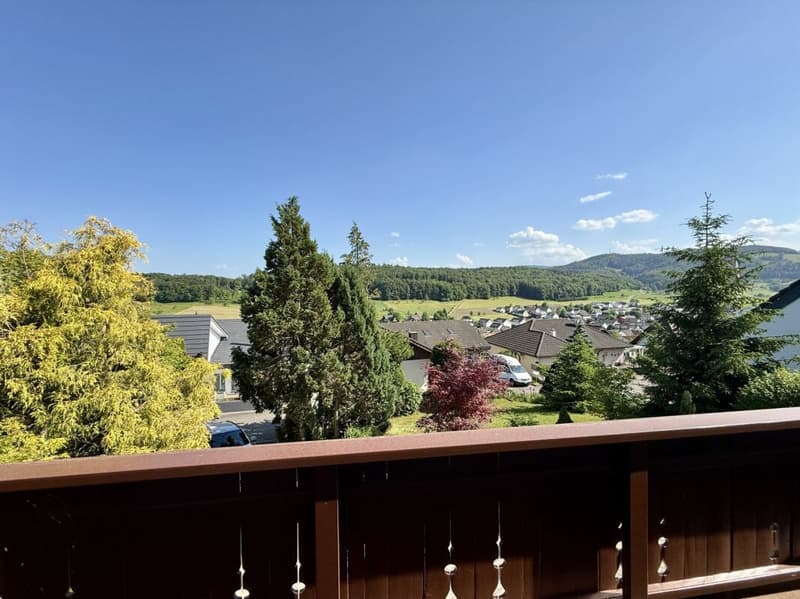 Einfamilienhaus mit viel Umschwung und Aussicht (2)