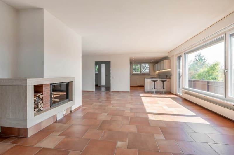 Einfamilienhaus mit viel Umschwung und Aussicht (3)