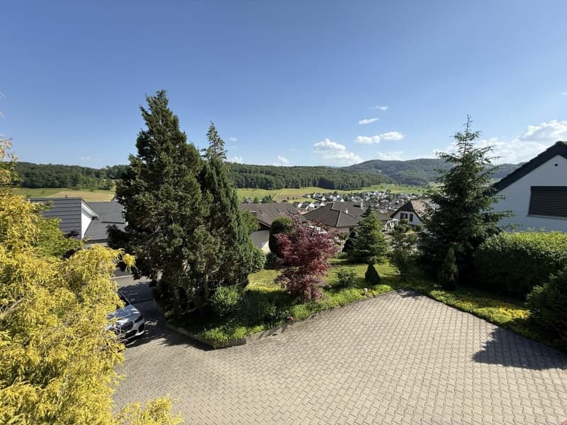 Einfamilienhaus mit viel Umschwung und Aussicht (11)