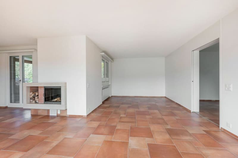 Einfamilienhaus mit viel Umschwung und Aussicht (4)