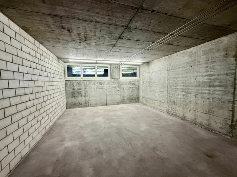 Grosse 4.5-Zi.-Maisonette-Wohnung mit Hobbyraum (14)