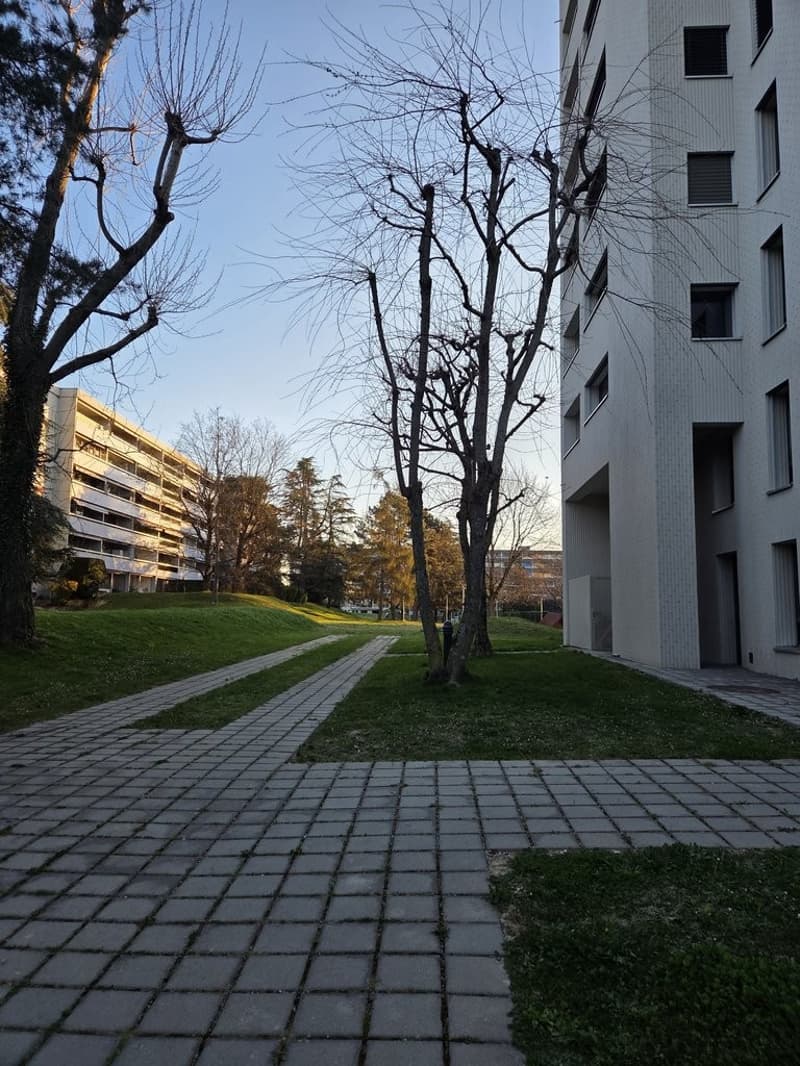 Immeuble