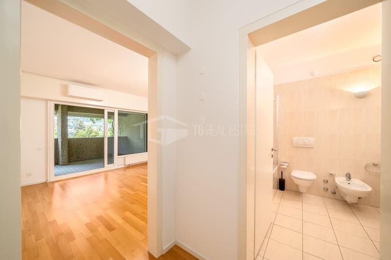 4.5-ROOM DUPLEX WITH LAKE VIEWS IN PARADISO (7)