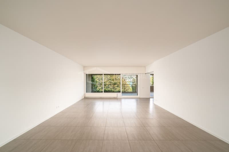 4.5-ROOM DUPLEX WITH LAKE VIEWS IN PARADISO (2)
