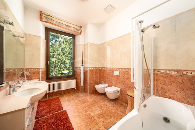 PENTHOUSE WITH LAKE VIEW IN ELEGANT HISTORIC COMPLEX (8)