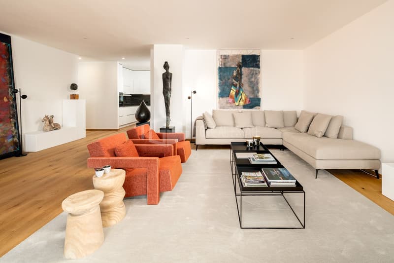 PENTHOUSE WITH STUNNING LAKE VIEW IN MONTAGNOLA (3)