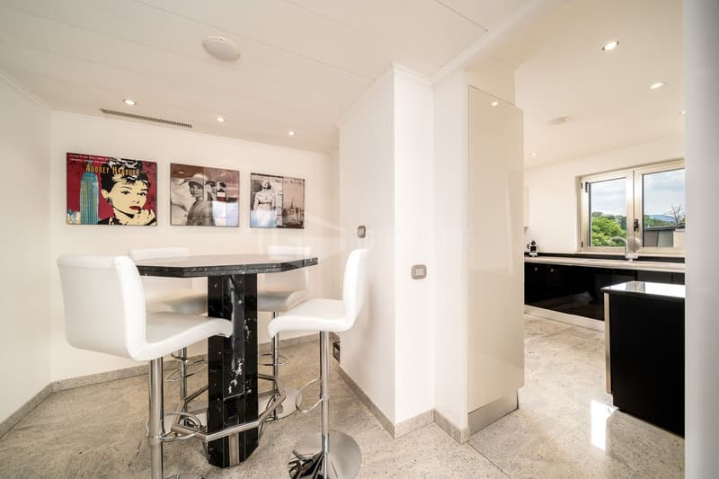 5.5-ROOM PENTHOUSE WITH WONDERFUL LAKE VIEW (9)