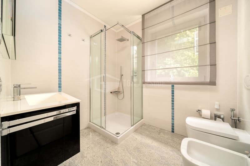 5.5-ROOM PENTHOUSE WITH WONDERFUL LAKE VIEW (13)
