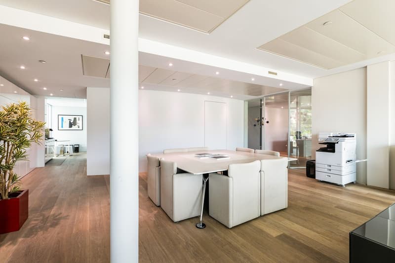 REPRESENTATIVE OFFICE WITH LAKE VIEW (9)