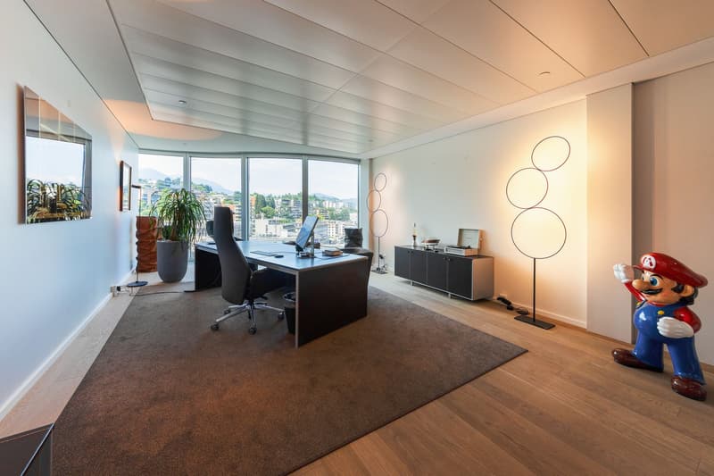 REPRESENTATIVE OFFICE WITH LAKE VIEW (5)