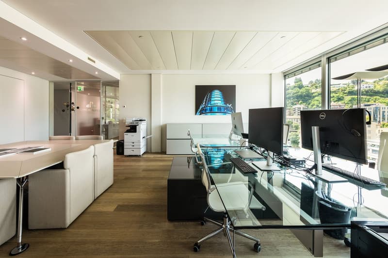 REPRESENTATIVE OFFICE WITH LAKE VIEW (8)