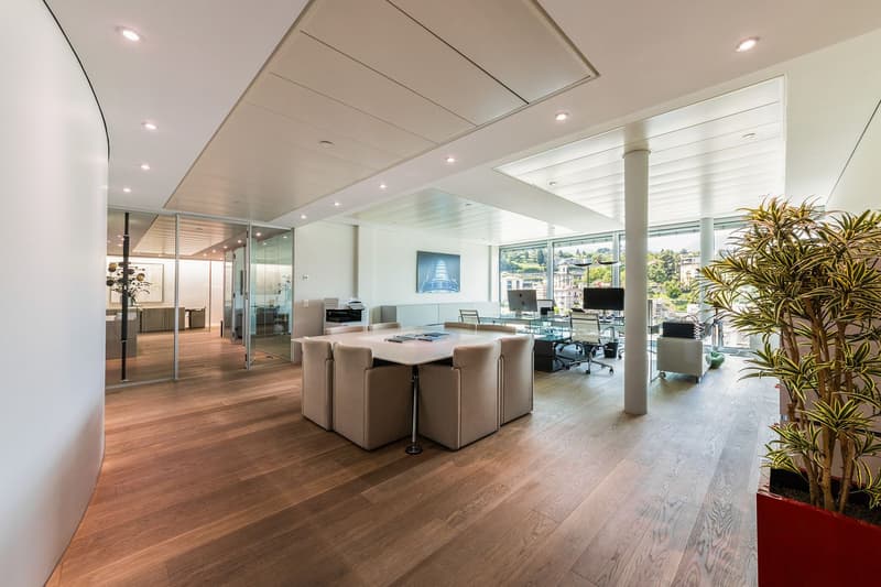 REPRESENTATIVE OFFICE WITH LAKE VIEW (6)