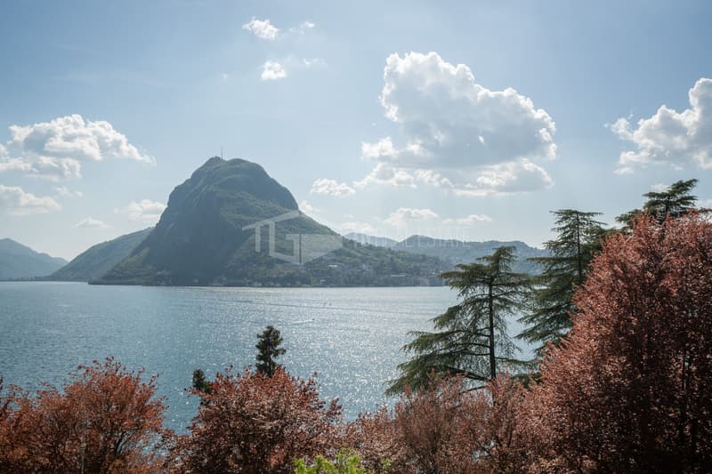 Bright 25 m² studio apartment with lake view (8)