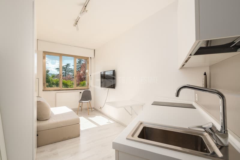 Bright 25 m² studio apartment with lake view (2)