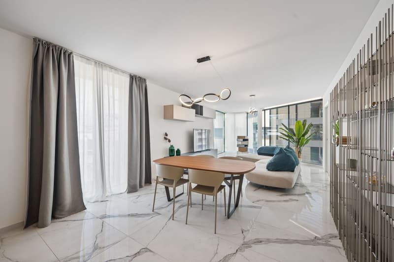 NEUES MÖBLIERTES PENTHOUSE MIT DACHTERRASSE (3)