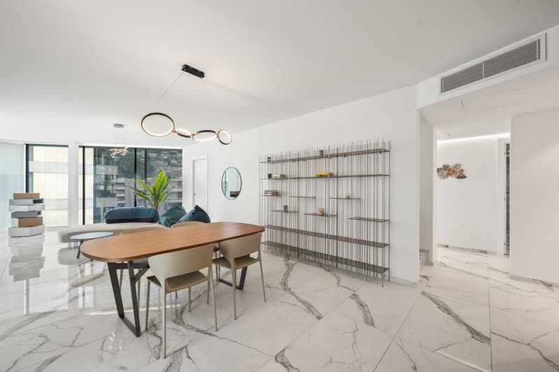 NEUES MÖBLIERTES PENTHOUSE MIT DACHTERRASSE (2)