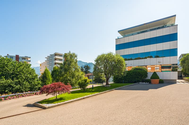 BÜRO IM PARADIES (2)