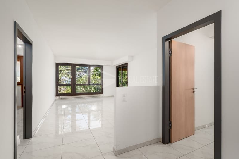 GEMÜTLICHE 3.5 ZIMMER IN LUGANO - LORETO (3)